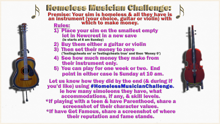HomelessMusicianChallengeUpdate40